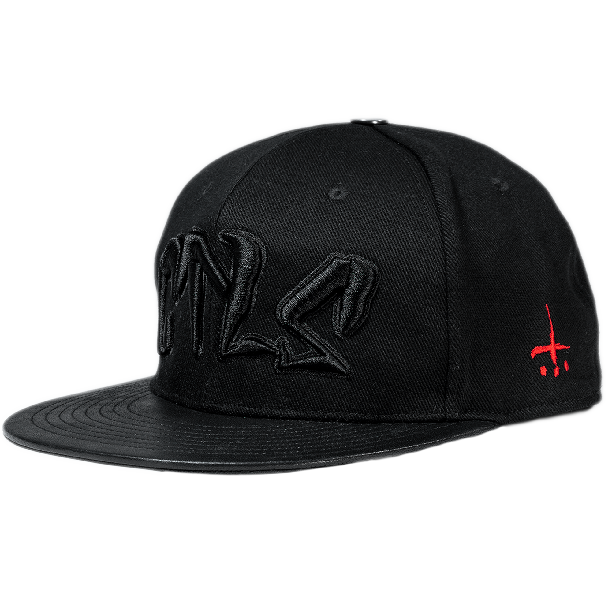 CTLS | 3D Logo Cap