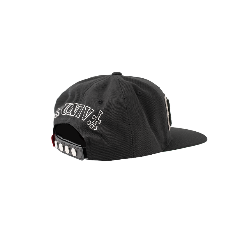 CTLS | University Cap