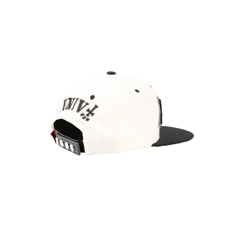 CTLS | University Cap