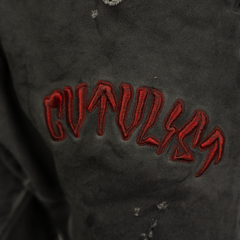 港*浜様 cvtvlist DAMAGEO usual 24 pants ブラウ 港*浜様 cvtvlist DAMAGEO usual 24 pants ブラウ CTLS