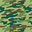 Camouflage