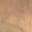 Military Beige