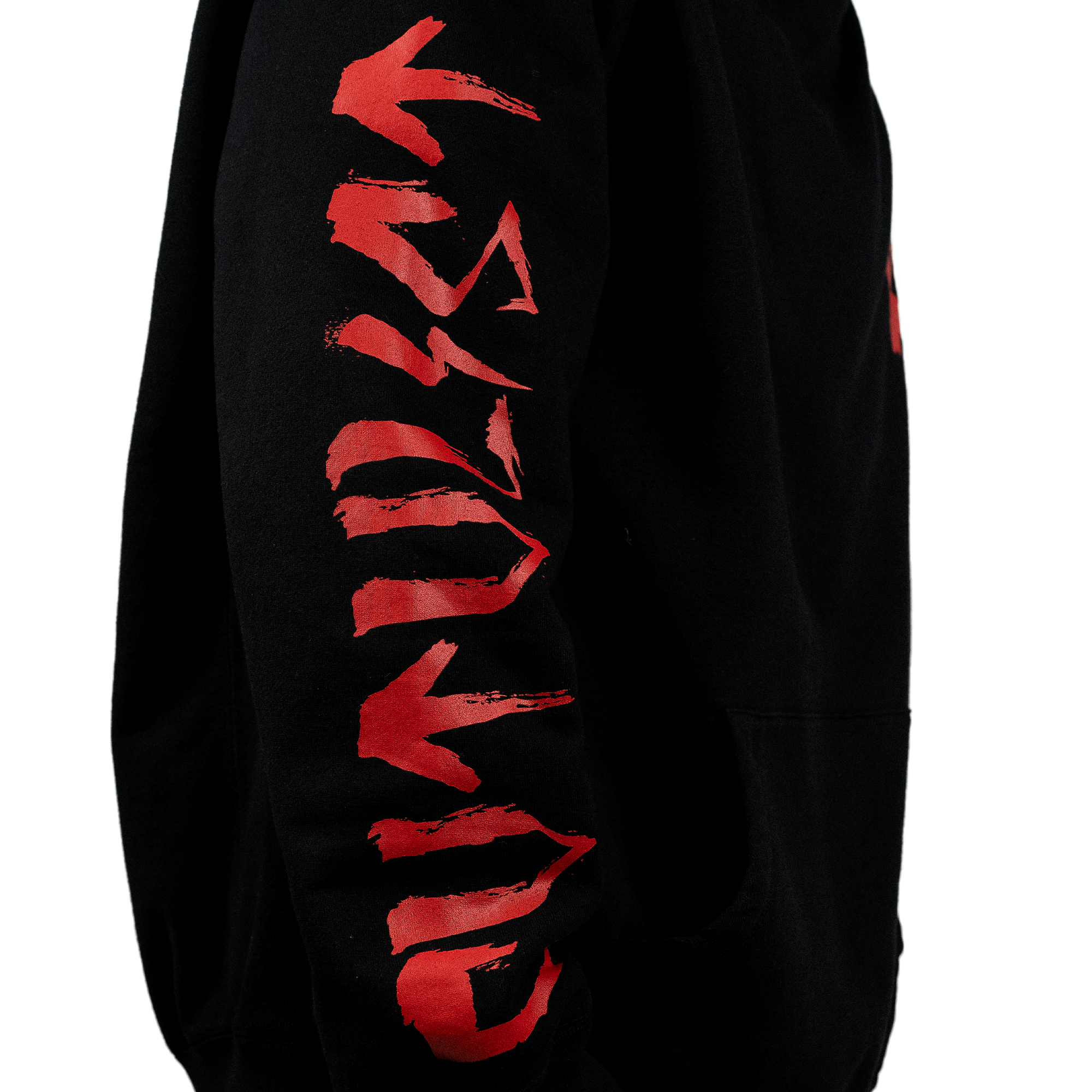 CTLS | SUXSOX collab Hoodie